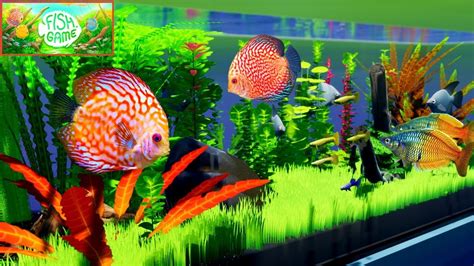 best aquarium game